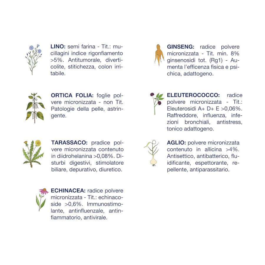 ADULTI MAIALE TAGLIA PICCOLA