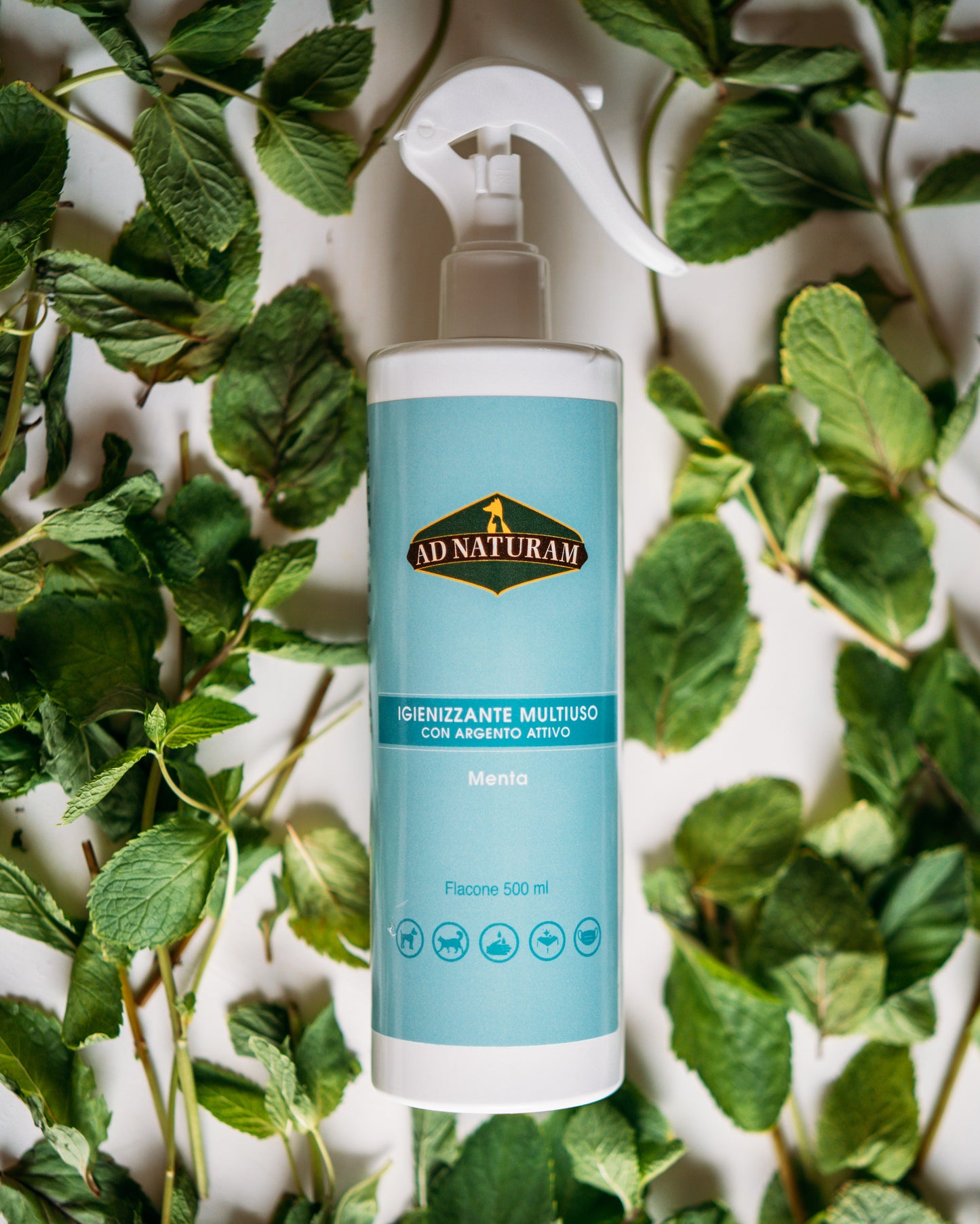 Igienizzante Multiuso (Menta)