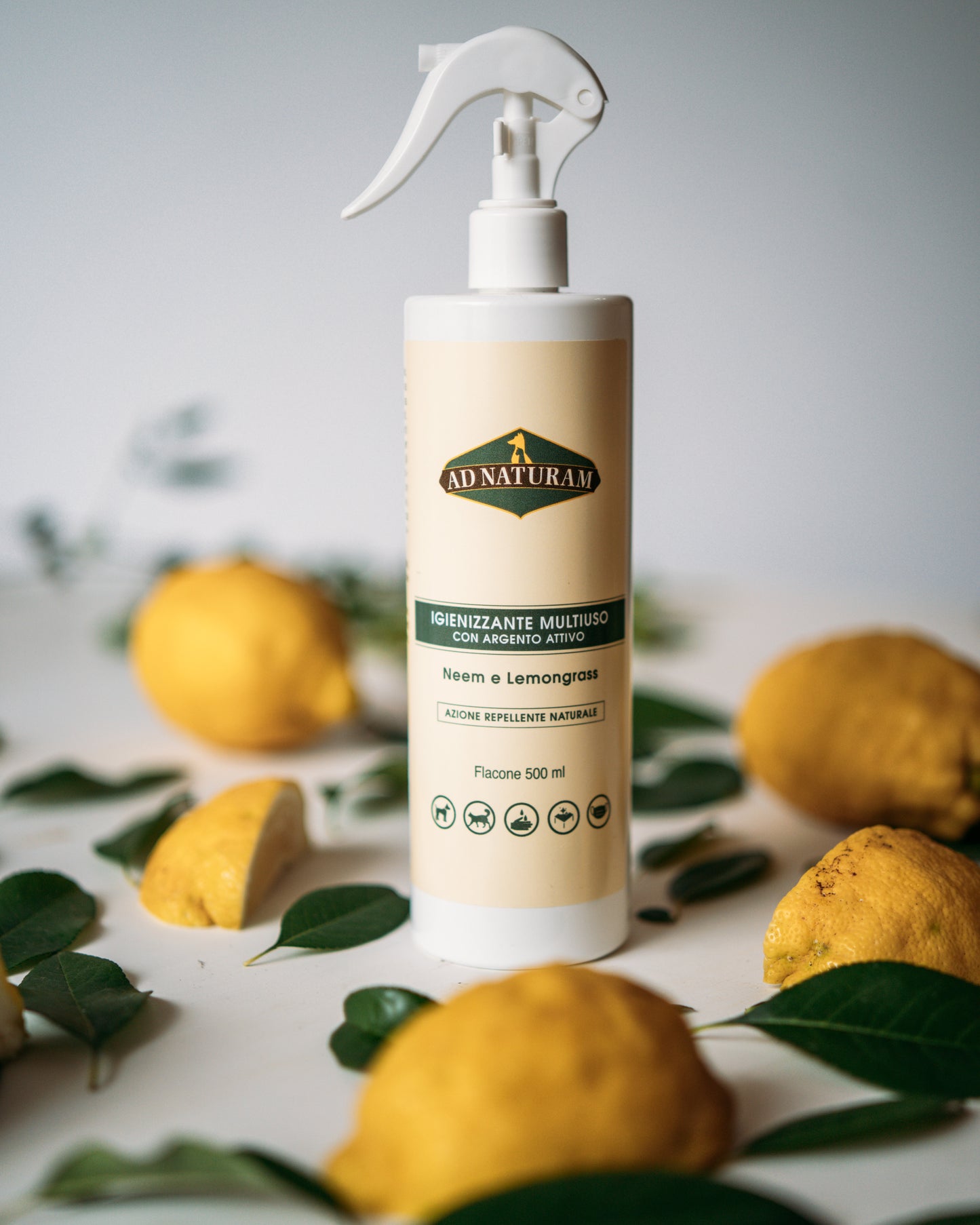 Igienizzante Multiuso (Neem)
